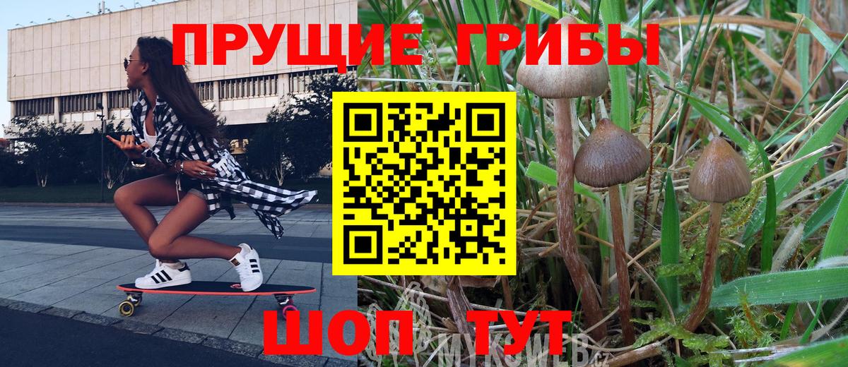 Псилоцибиновые грибы мицелий Арзамас