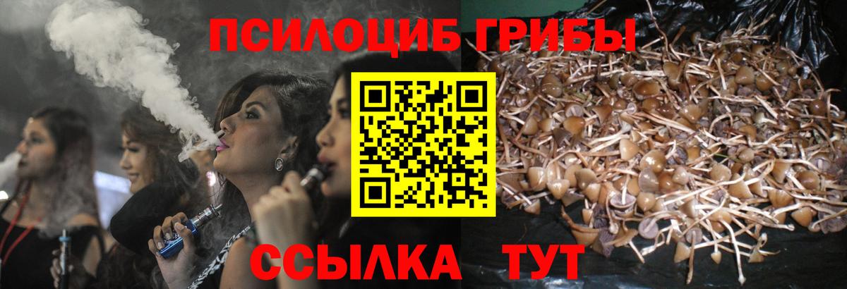 Галлюциногенные грибы мицелий  Вход с VPN  Псилоцибиновые грибы MAGIC MUSHROOMS  Арзамас 